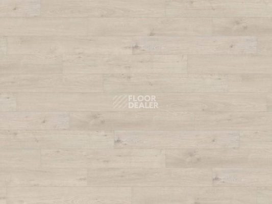Ламинат Haro Tritty 200 Aqua 4V ДУБ СИЦИЛИЯ БЕЛЫЙ 537368 фото 1 | FLOORDEALER